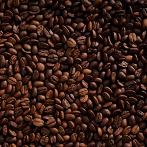 Freshly roasted coffee beans